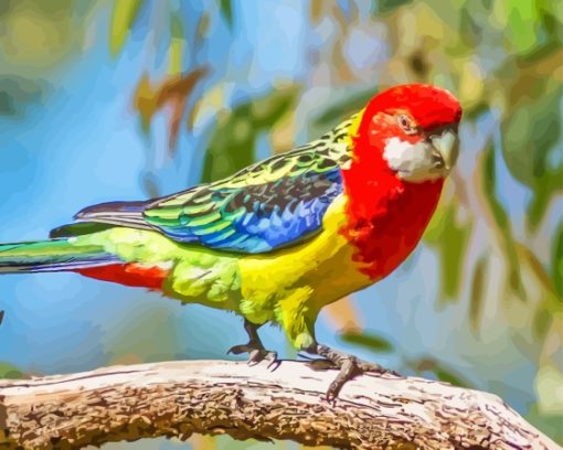 Colorful Eastern Rosella Diamond Painting