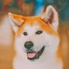 Hachiko Akita Dog Diamond Painting