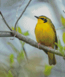 Kentucky Warbler Bird Diamond Painting