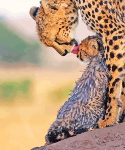 Leopard With Her Baby Diamond Painting