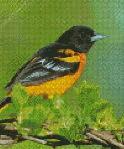 Old World Orioles Diamond Painting