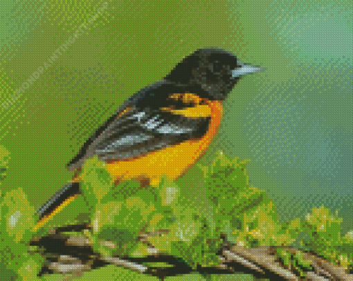 Old World Orioles Diamond Painting