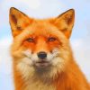 Orange Fox Face Animal Diamond Painting