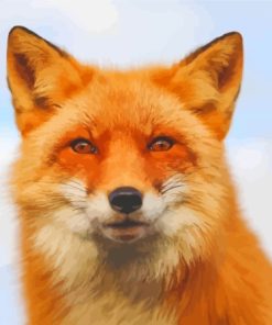 Orange Fox Face Animal Diamond Painting