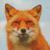 Orange Fox Face Animal Diamond Painting