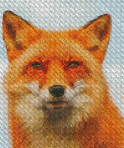 Orange Fox Face Animal Diamond Painting