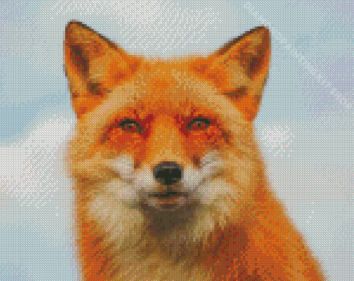 Orange Fox Face Animal Diamond Painting