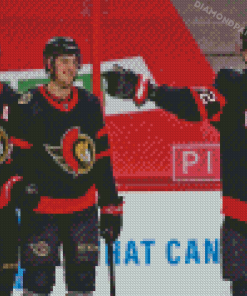 Ottawa Senators Team Diamond Painting