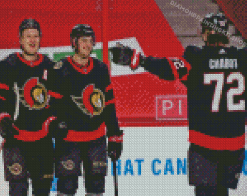 Ottawa Senators Team Diamond Painting