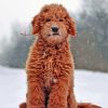 Red Golden Doodle Diamond Painting