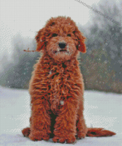 Red Golden Doodle Diamond Painting