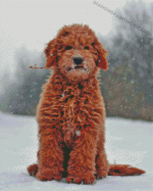 Red Golden Doodle Diamond Painting