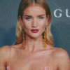 Rosie Huntington Diamond Painting