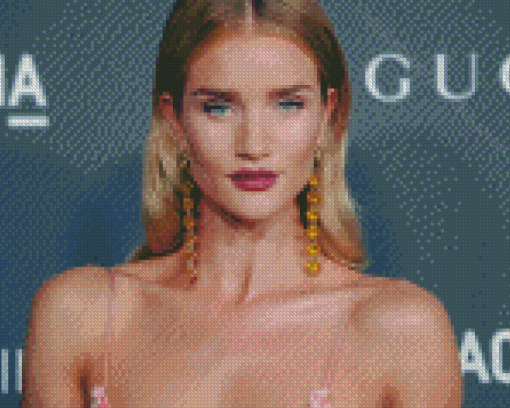 Rosie Huntington Diamond Painting