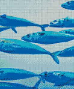 Sardines Fish Underwater Diamond Painting