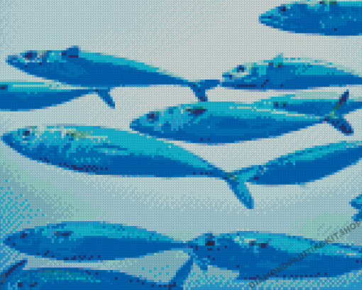 Sardines Fish Underwater Diamond Painting