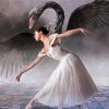 Swan Lake Ballerina Girl Dancer Diamond Painting