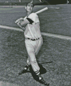 Ted Williams In Black And White Diamond Painting