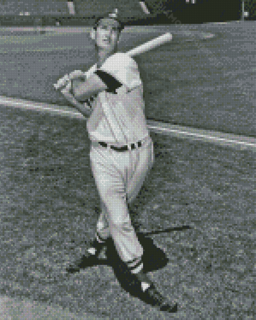 Ted Williams In Black And White Diamond Painting