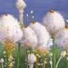 The Beargrass Plants Diamond Painting