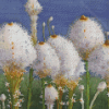 The Beargrass Plants Diamond Painting