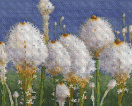 The Beargrass Plants Diamond Painting