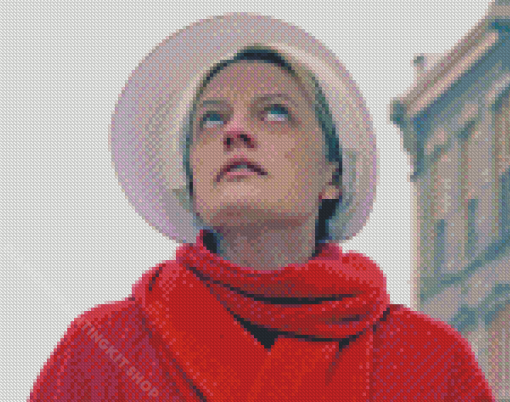 The Handmaids Tale Character Diamond Painting