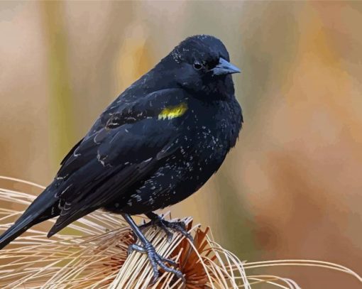 The Yellow Winged Blackbird Diamond Painting