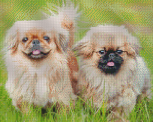 Two Young Pekingese Puppies Diamond Painting