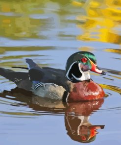 Wood Duck Water Reflection Diamond Painting