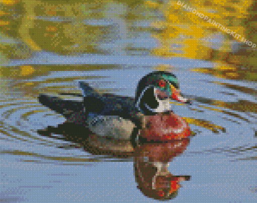 Wood Duck Water Reflection Diamond Painting