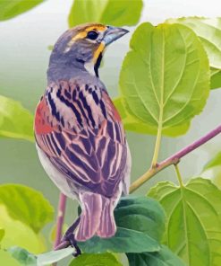 Aesthetic Dickcissel Bird Diamond Painting