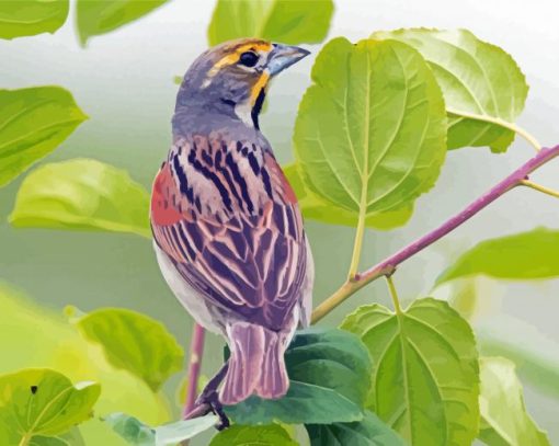 Aesthetic Dickcissel Bird Diamond Painting