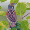 Aesthetic Dickcissel Bird Diamond Painting