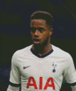 Aesthetic Ryan Sessegnon Diamond Painting