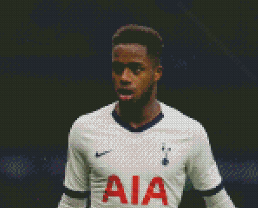 Aesthetic Ryan Sessegnon Diamond Painting