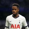 Aesthetic Ryan Sessegnon Diamond Painting