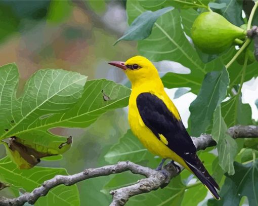 Golden Oriole Diamond Painting