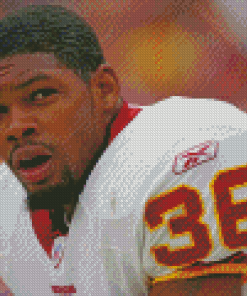 Aesthetic Sean Taylor Redskins Diamond Painting