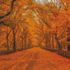 Autumn Forest Central Park Diamond Painting