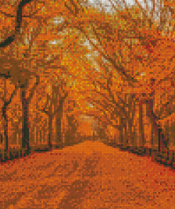 Autumn Forest Central Park Diamond Painting