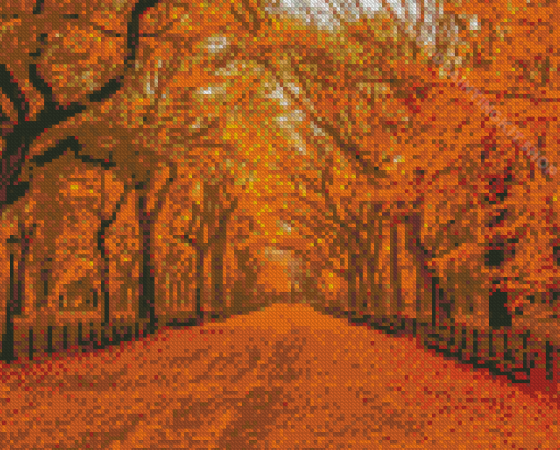 Autumn Forest Central Park Diamond Painting