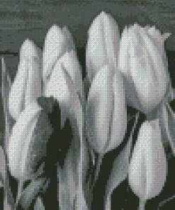 Black And White Tulip Diamond Painting