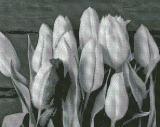 Black And White Tulip Diamond Painting