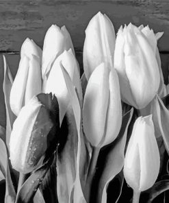 Black And White Tulip Diamond Painting