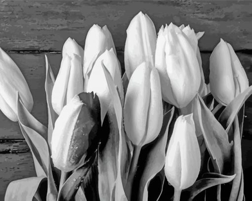 Black And White Tulip Diamond Painting