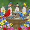 Colorful Birds And Gardens Diamond Painting