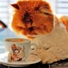 Fluffy Cat Animal Drinking Coffee Diamond Painting