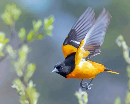 Flying Baltimore Oriole Diamond Painting