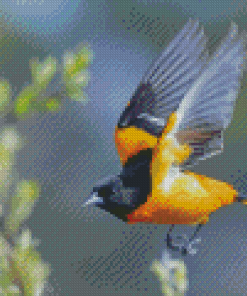 Flying Baltimore Oriole Diamond Painting